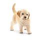 Golden Retriever puppy 16396