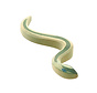 Snake 1653