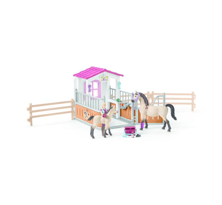 Horse stall with Arab horses and groom 42369