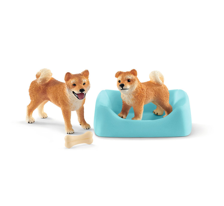 Shiba Inu mother and puppy 42479