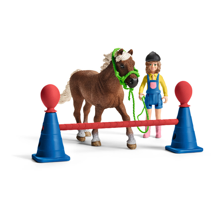 Pony agility training 42481