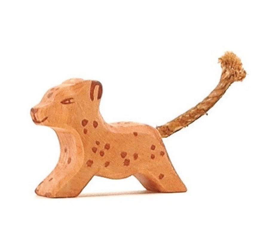 Leopard Small Walking 2026