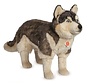 Stuffed Animal Dog Husky Standing Big