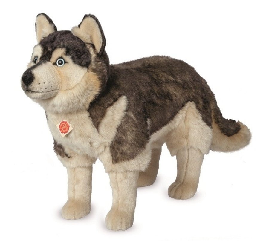 Stuffed Animal Dog Husky Standing Big