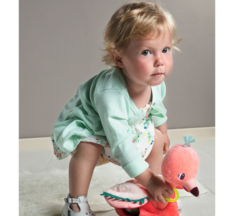 Knuffel Flamingo Anaïs en haar Baby's