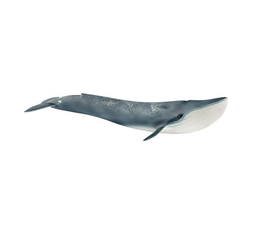 Schleich Blauwe Walvis 14806