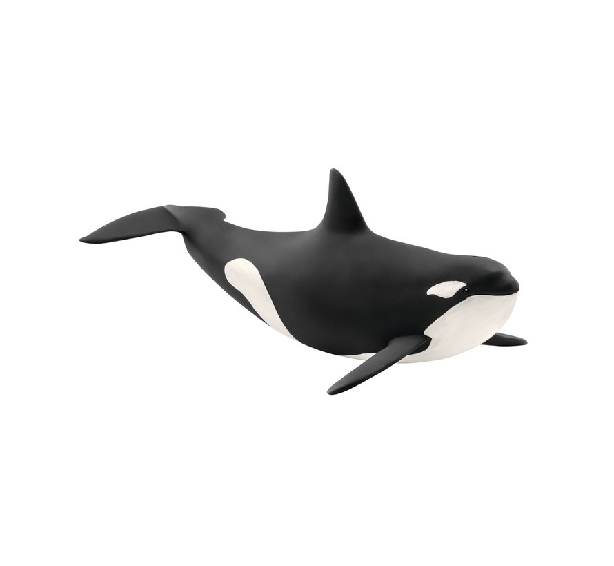 Killer Whale 14807