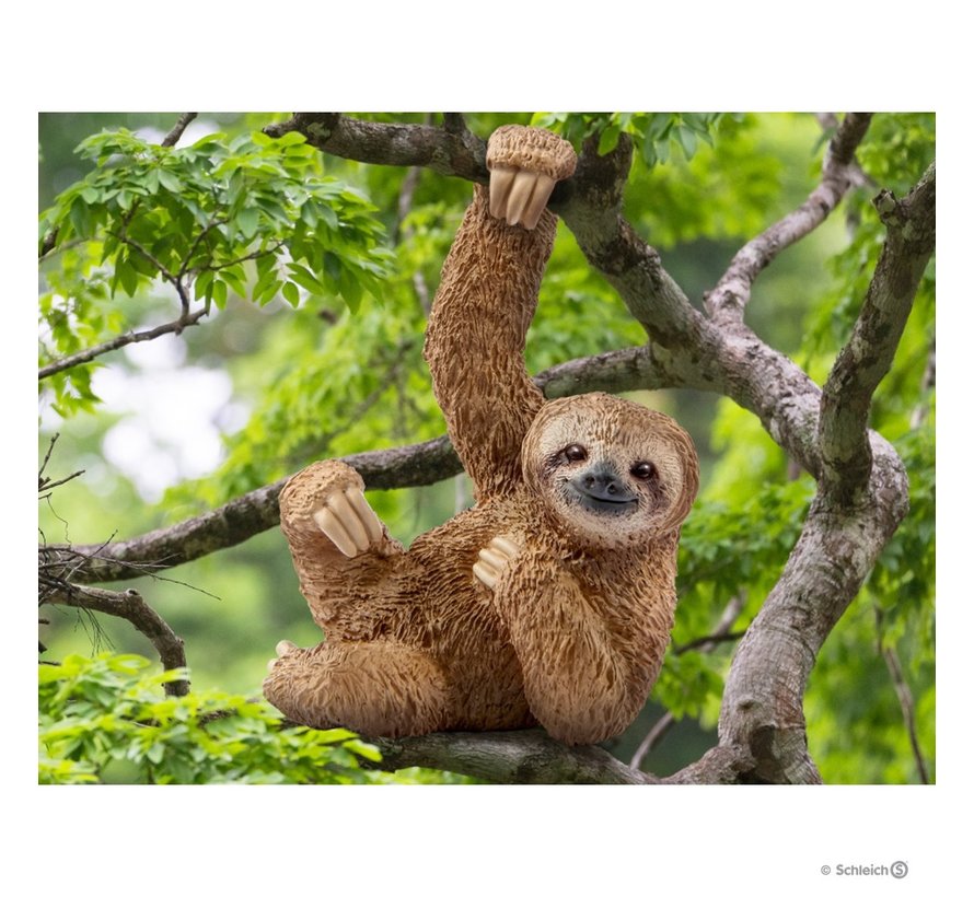 Sloth 14793