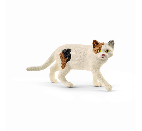 Schleich Amerikaanse Korthartige Kat 13894