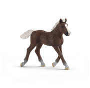 Schleich Black Forest foal 13899