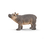 Baby Hippopotamus 14831