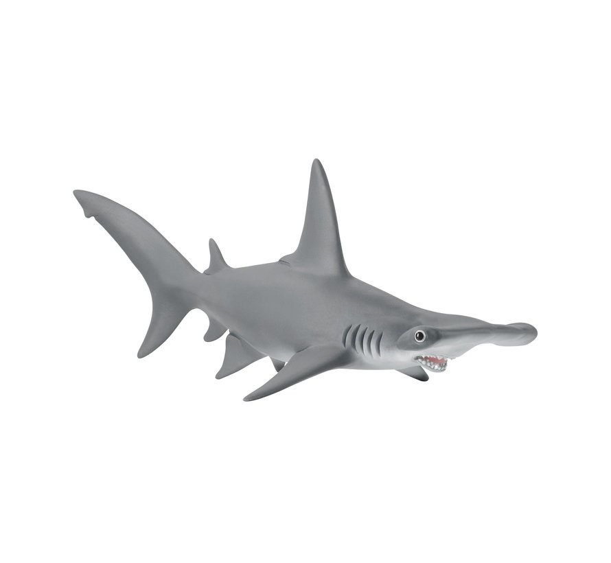 Hammerhead Shark 14835