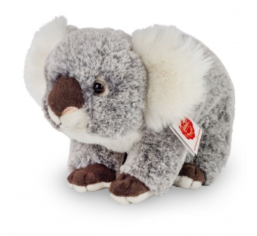 Stuffed Animal Koala Sitting