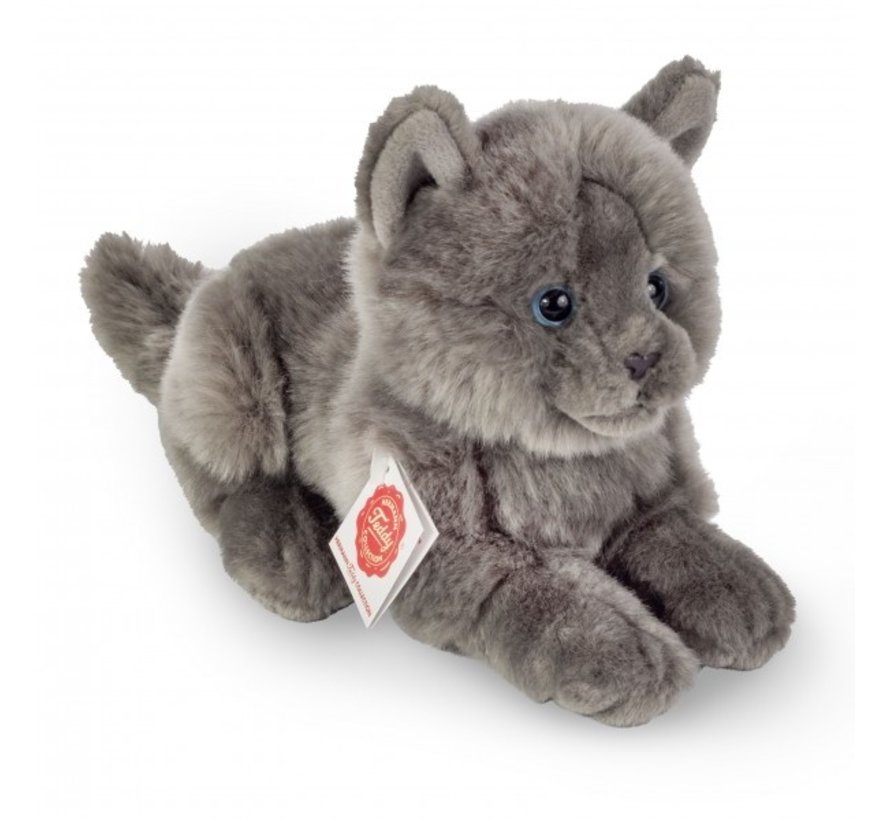 Stuffed Animal Cat Chartreux