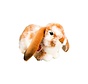 Stuffed Animal Rabbit Brown White