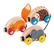 Hape Trein met Bosdieren Tactile Animal Train