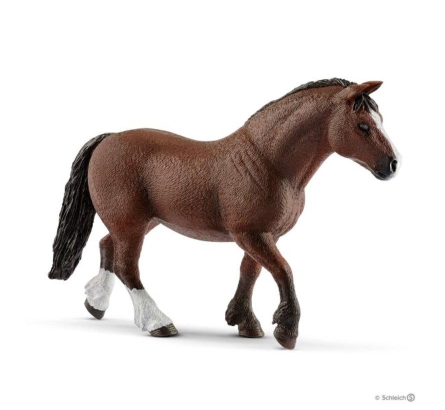 Speelset Pony Agility Wedstrijd 42482