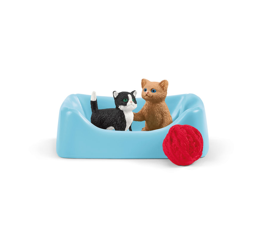 Playtime for Cute Cats 42501