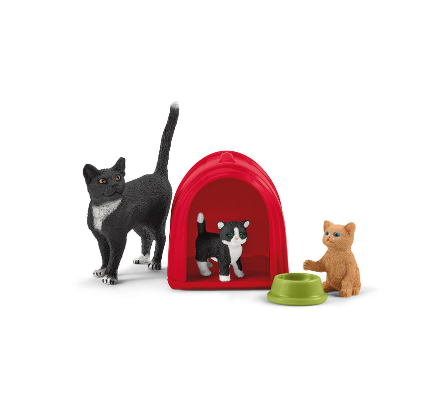 Playtime for Cute Cats 42501