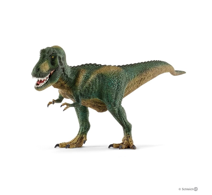 Tyrannosaurus rex 14587