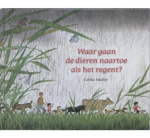 Christofoor Waar gaan de dieren naartoe als het regent?