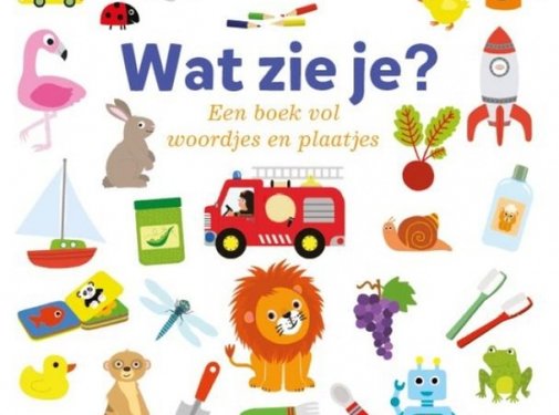 Clavis Wat zie je? Een boek vol woordjes en plaatjes