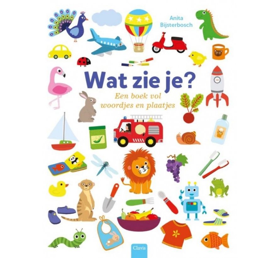 Wat zie je? Een boek vol woordjes en plaatjes