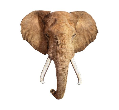 Madd Capp Puzzle: I AM Elephant 700pcs