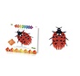 Origami Ladybird 3D XS