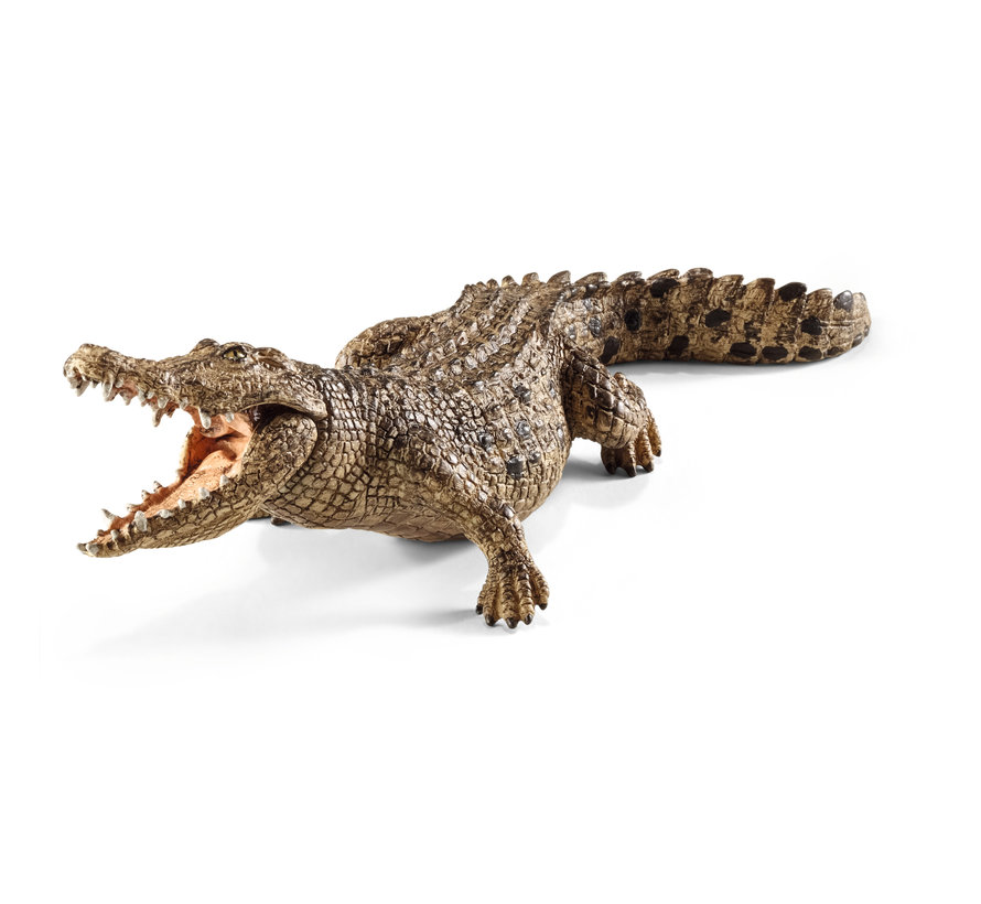 Krokodil 14736