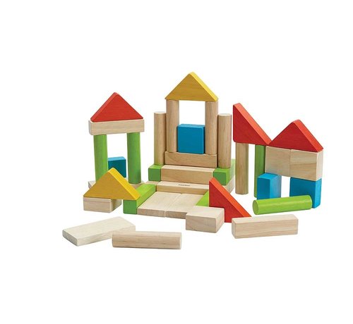 PlanToys Blokken Gekleurd 40-delig