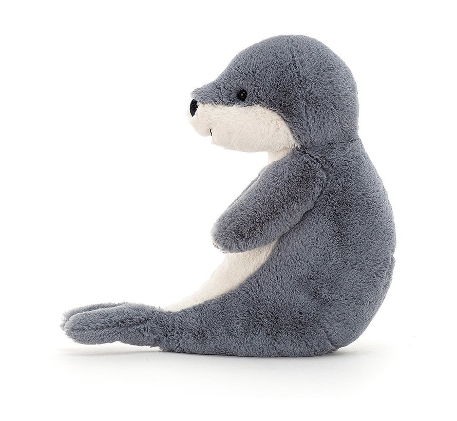 Bashful Seal