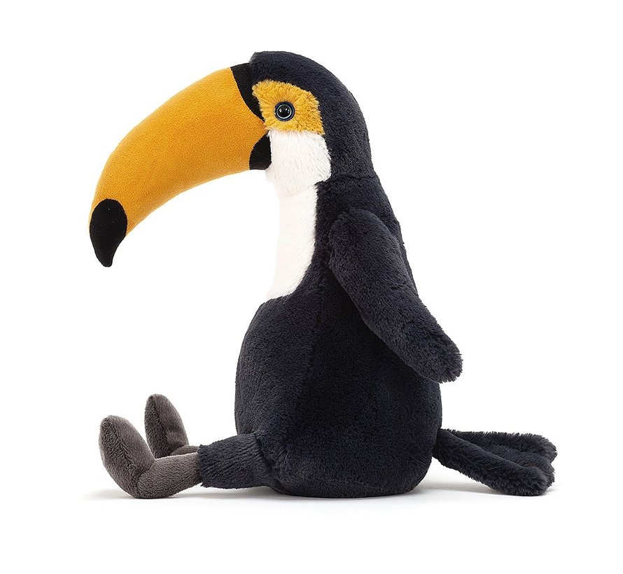 Bashful Toucan