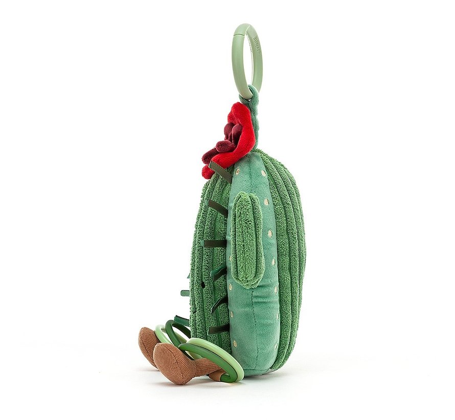 Amuseable Cactus Activity Toy