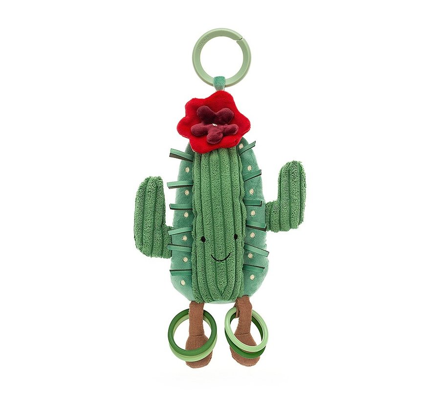 Amuseable Cactus Activity Toy