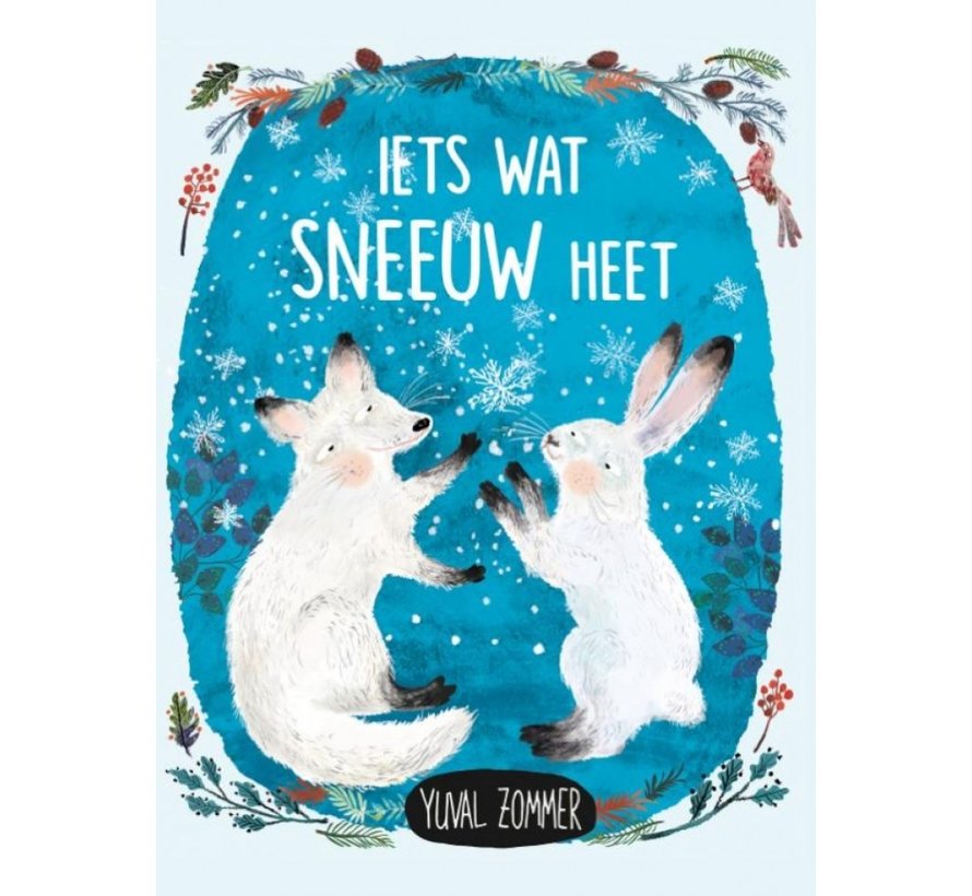 Iets wat sneeuw heet