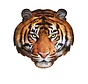 Puzzel Tijger I AM Tiger 550pcs