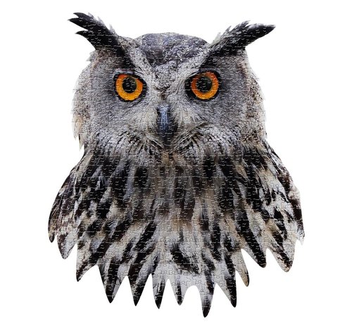 Madd Capp Puzzle I AM Owl 550 pcs