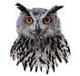 Puzzel Uil I AM Owl 550 pcs