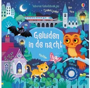 Uitgeverij Usborne Geluiden in de nacht