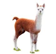 Madd Capp Puzzle Jr.: I AM Lil' Llama 100pcs