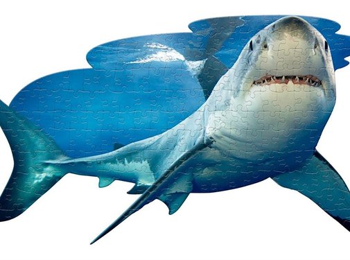 Madd Capp Puzzel Haai AM Lil'  Shark 100pcs