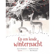 Op een koude winternacht