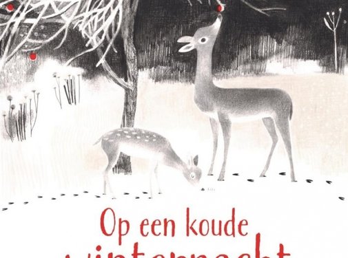 Op een koude winternacht