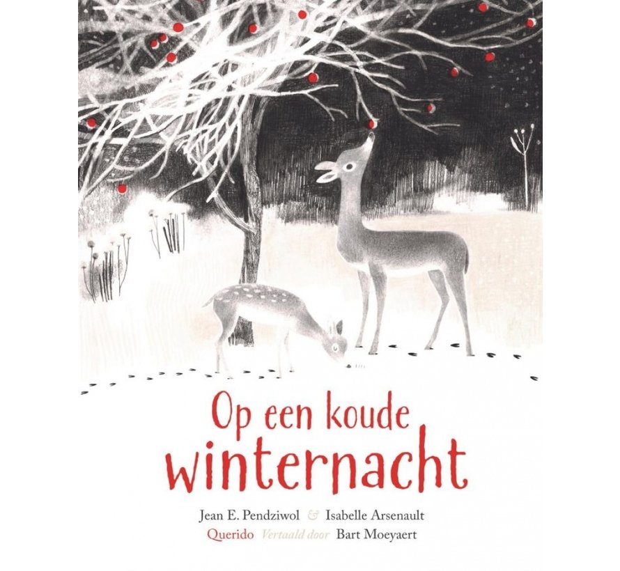 Op een koude winternacht