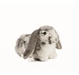 Stuffed Animal Dutch Lop Eared Rabbit Grey