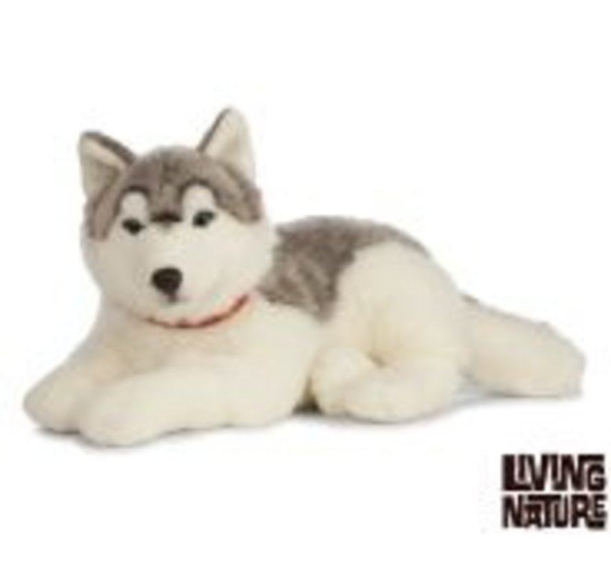 Stuffed Animal Giant Husky Dog