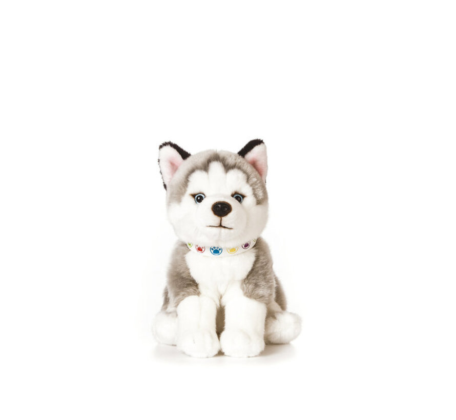 Knuffel Hond Husky Puppy