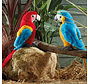 Stuffed Animal Macaw