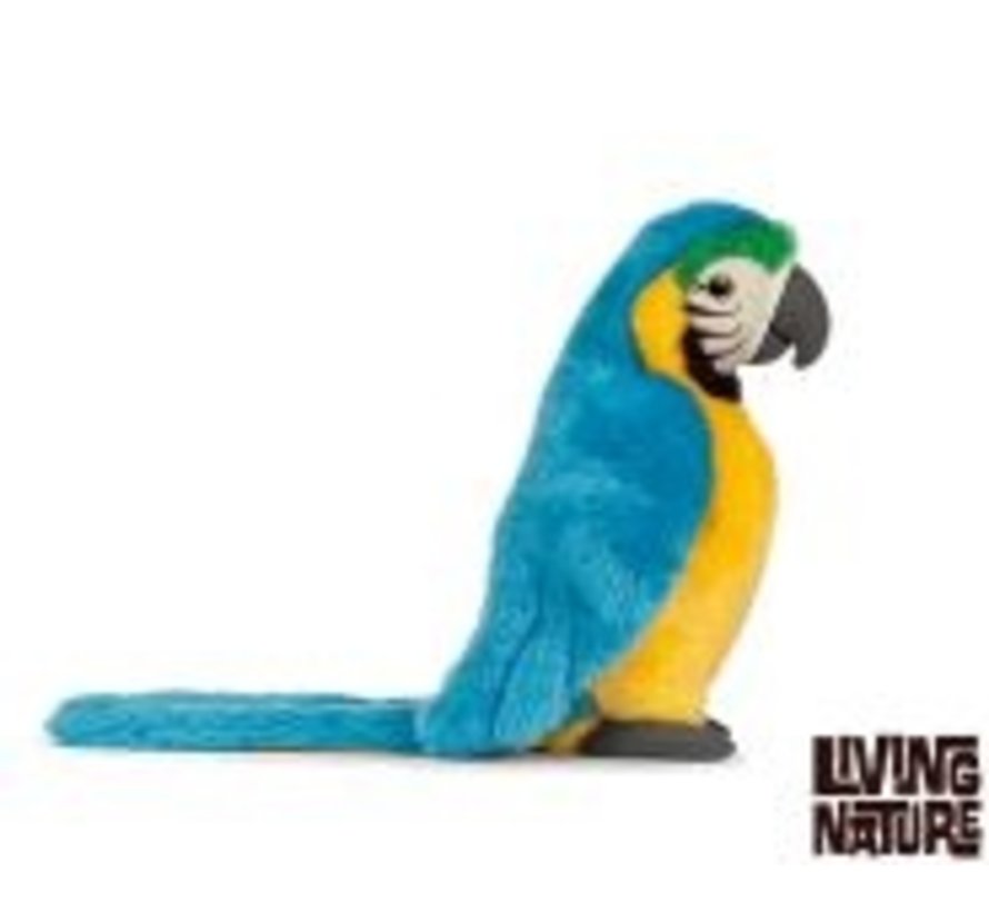 Stuffed Animal Macaw